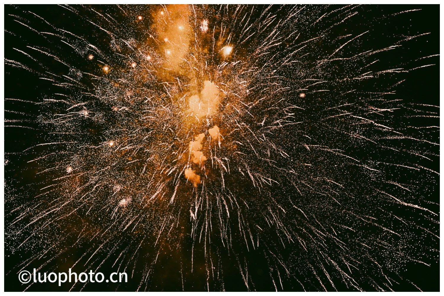 夜空中绽放的金色烟花特写，呈现放射状的光束与闪烁的星火