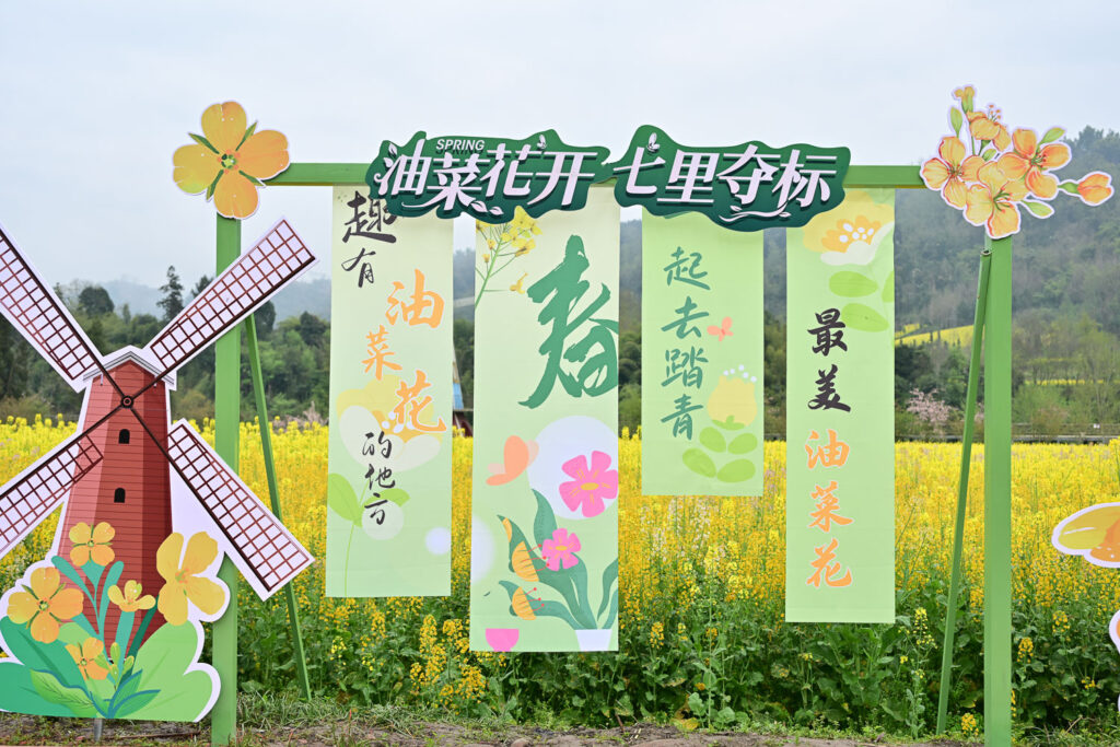 四川雅安芦山县青衣芸谷景区“油菜花开·七里夺标”民俗活动主视觉拱门，含风车、花朵装饰及油菜花田背景，文旅商业摄影案例